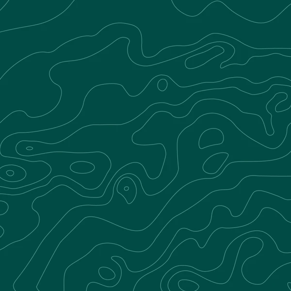topo600x600