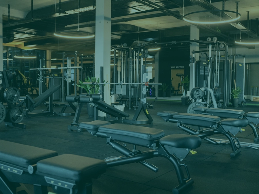 fitness
